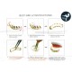 Bling Hip Hop Grillz "TOP WAVE SIMPLE BLUE GOLD" von PLAYAZ, Kristall, vergoldet